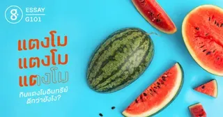 G101 แตงโม แตงโม แตงโม