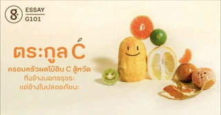 G101 ตระกูล C ครอบครัวผลไม้อินทรีย์สู้หวัด