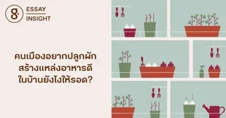 คนเมืองอยากปลูกผัก สร้างแหล่งอาหารดีในบ้านยังไงให้รอด?