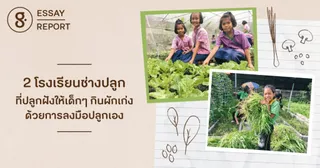 2 โรงเรียนช่างปลูก ปลูกฝังให้เด็กๆ กินผักเก่งด้วยการลงมือปลูกเอง
