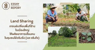 เทรนด์เปลี่ยนพื้นที่ร้างในเมืองใหญ่ ให้ผลิตอาหารเลี้ยงคนในชุมชนได้จริงจัง (และจริงใจ) 