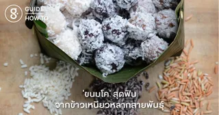 ‘ขนมโค’ สุดฟิน จากข้าวเหนียวหลากสายพันธุ์