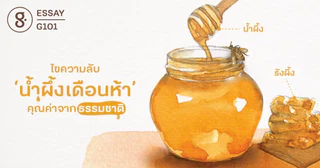 ไขความลับ ‘น้ำผึ้งเดือนห้า’ คุณค่าจากธรรมชาติ
