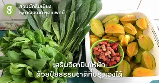 เสริมวิตามินให้ผัก ด้วยปุ๋ยธรรมชาติที่ปรุงเองได้