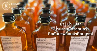 ป่า | น้ำ | ปลา น้ำปลาหมักจากปลาที่กลับมาพร้อมป่าที่สมบูรณ์