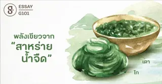 พลังเขียวจาก “สาหร่ายน้ำจืด”